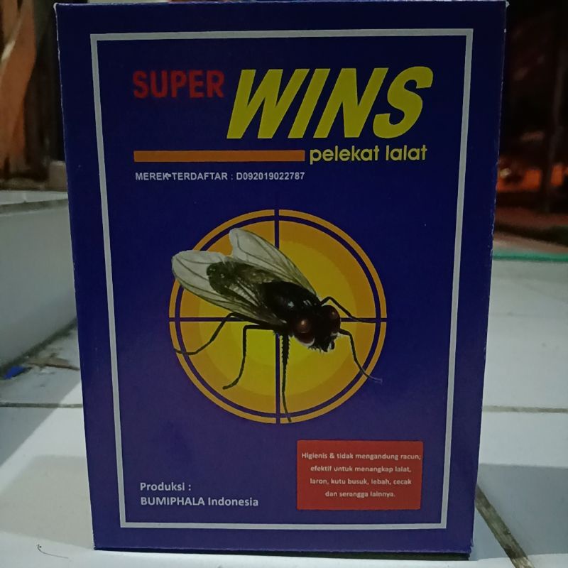 Lem lalat Super Wins