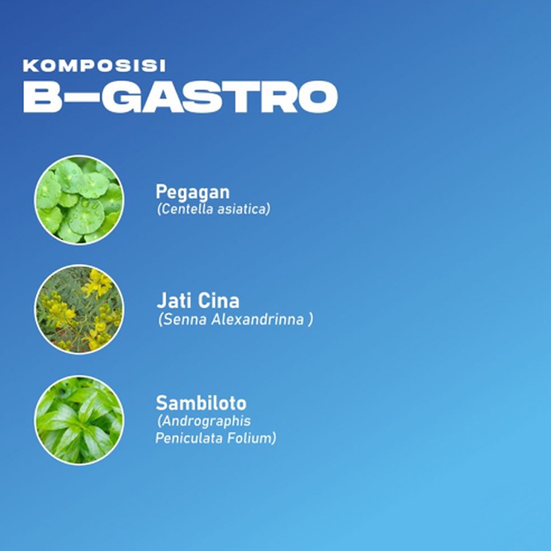 INDOBIO Paket Bio Asam Lambung - Lejel Home Shopping-2