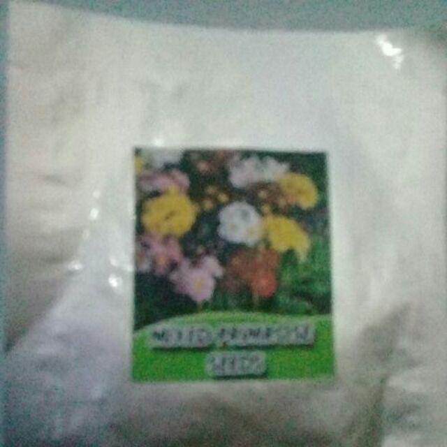 Biji Bunga Evening Primrose (primula) Mixedb