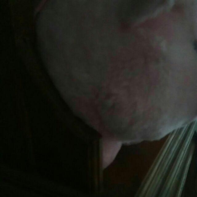 Batik Blouse Regina #2 Modern Fashion Wanita Batik Solo