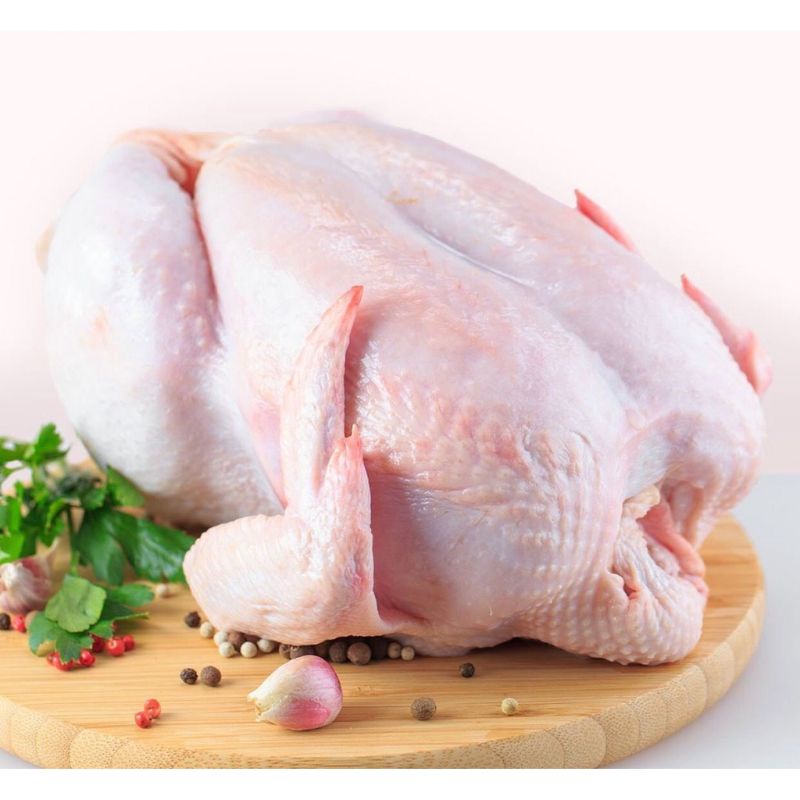 

daging ayam karkas per ekor