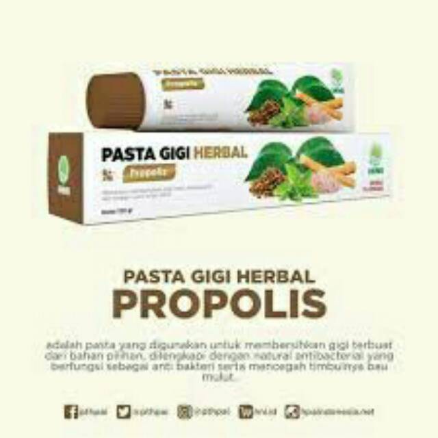 PASTA GIGI HERBAL PROPOLIS HNI-HPAI