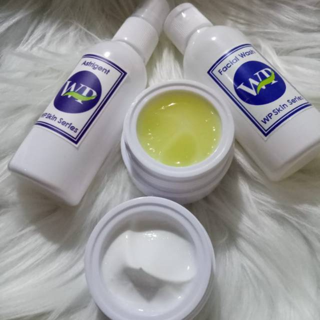 Wp skin series step 3