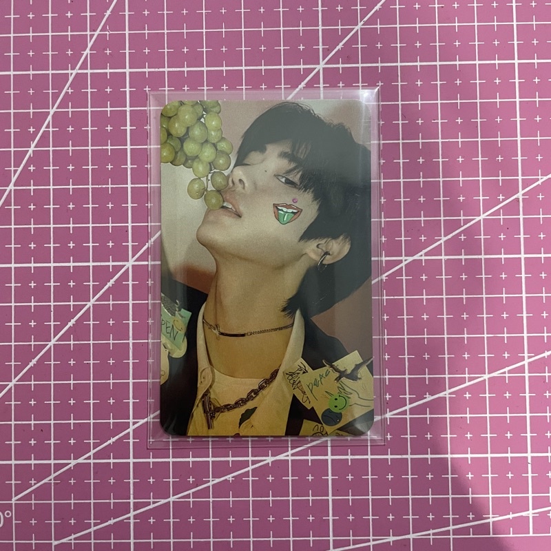 [READY] OFFICIAL PC/PHOTOCARD SUNGHOON ANGGUR BENE SHOPEE