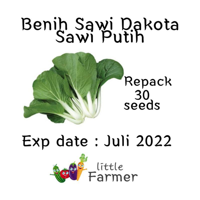 Benih sawi putih dakota repack