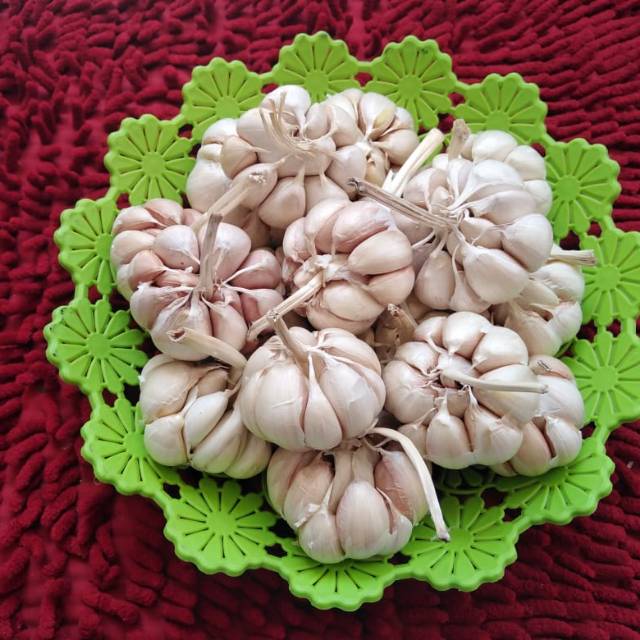 

Bawang putih sincu 1kg