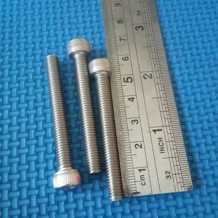 baut L5. 5cm stainless