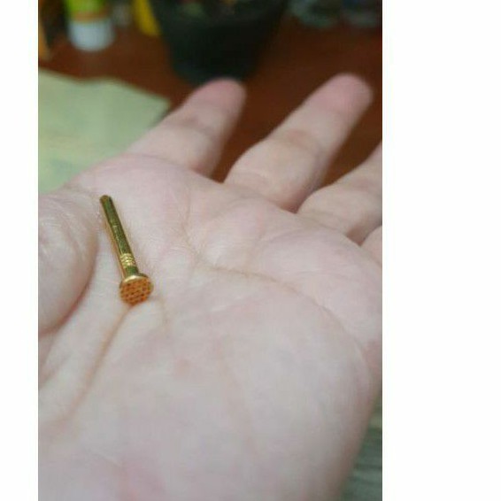 Paku keberuntungan rumah hoki fengshui 22 emas asli 700 70% 2cm 1gram 1 gram