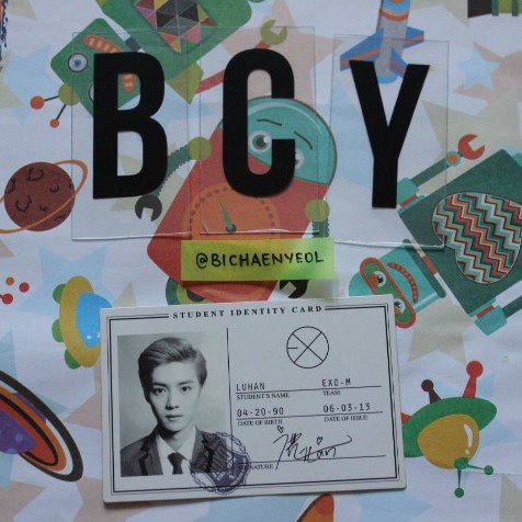 EXO XOXO Album Photocard - Luhan