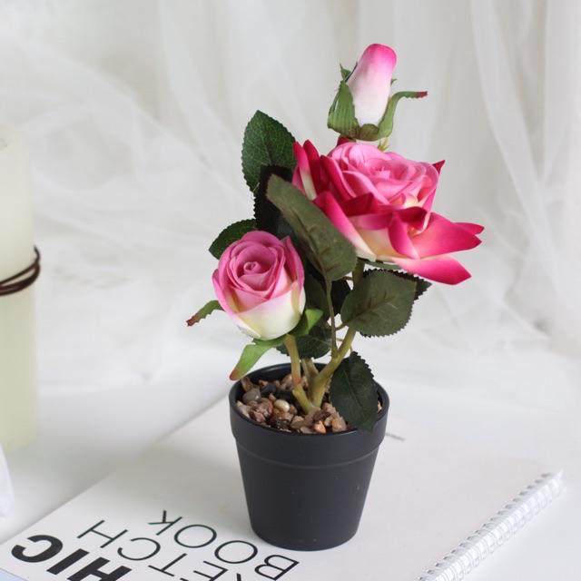 AM502 Bunga Plastik Motif Rose Keranjang Hitam / Bunga Plastik Artificial-Pink