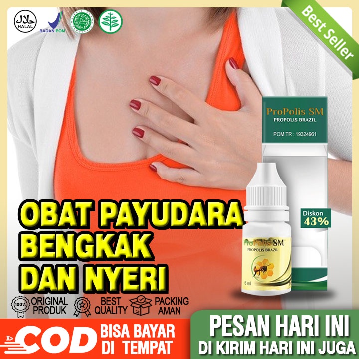 Obat Payudara Bengkak, Payudara Bengkak Dan Nyeri, Sakit Payudara, Nyeri Pada Payudara