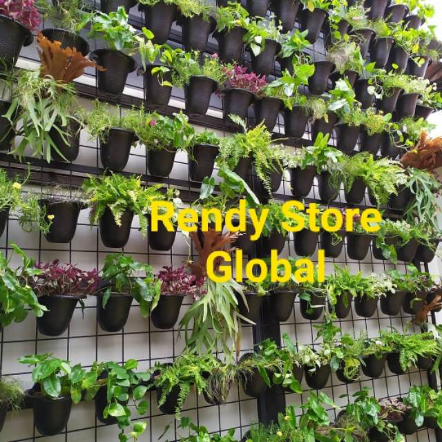 Tanaman Hias - Vertikal Garden - Taman