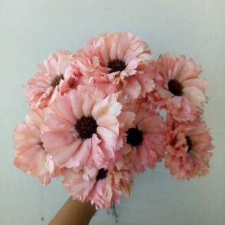 

sola anemone bunga kering/kertas pink