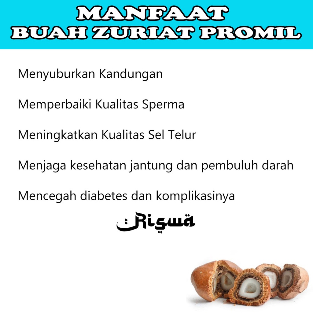 PROMIL SUAMI ISTRI BUAH ZURIYAT BELAH 1 KG UNTUK PROGAM HAMIL 100% ASLI Paket Zuriat Asli Mesir Dzuriat