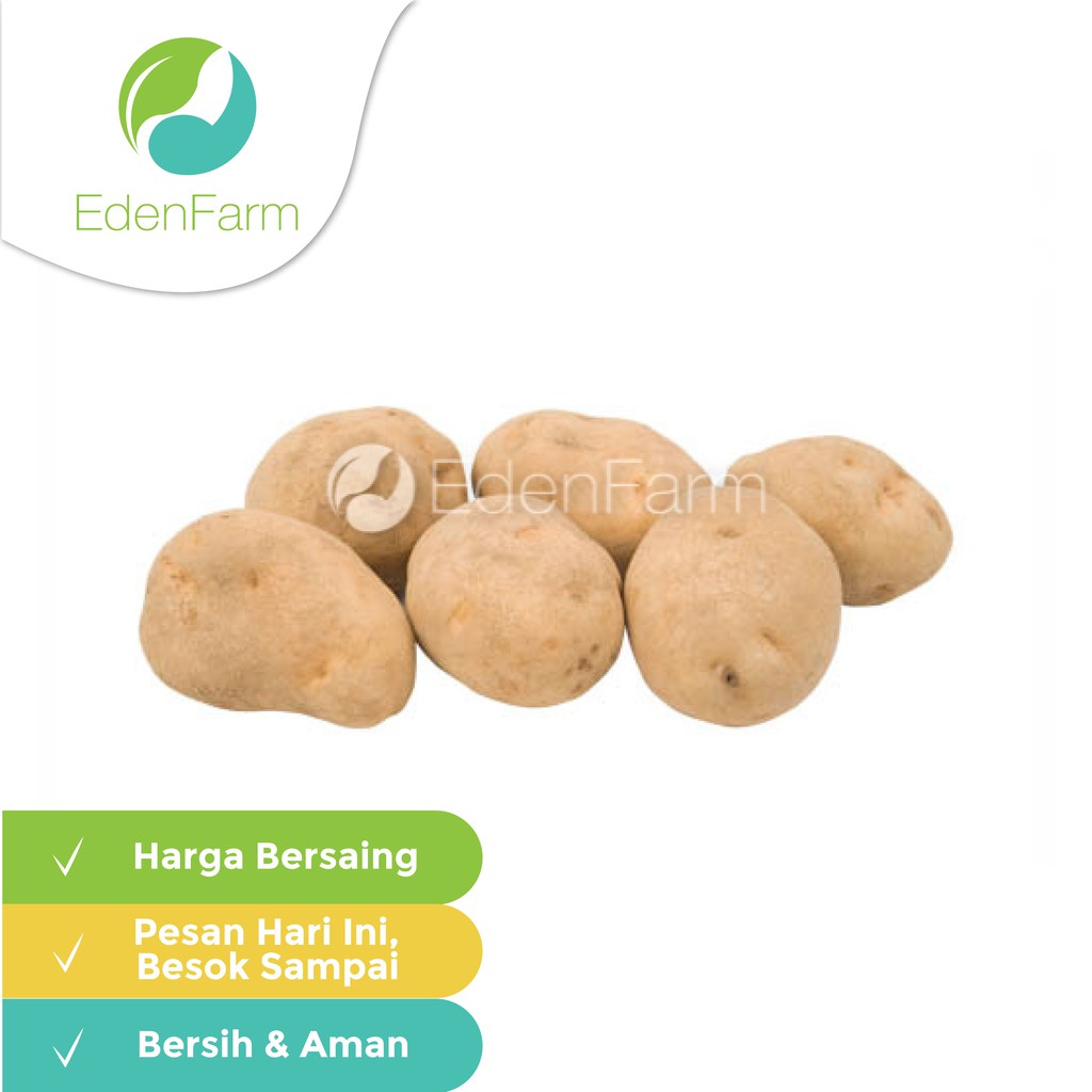 

Kentang Dieng (5-6 pcs/kg) Eden Farm