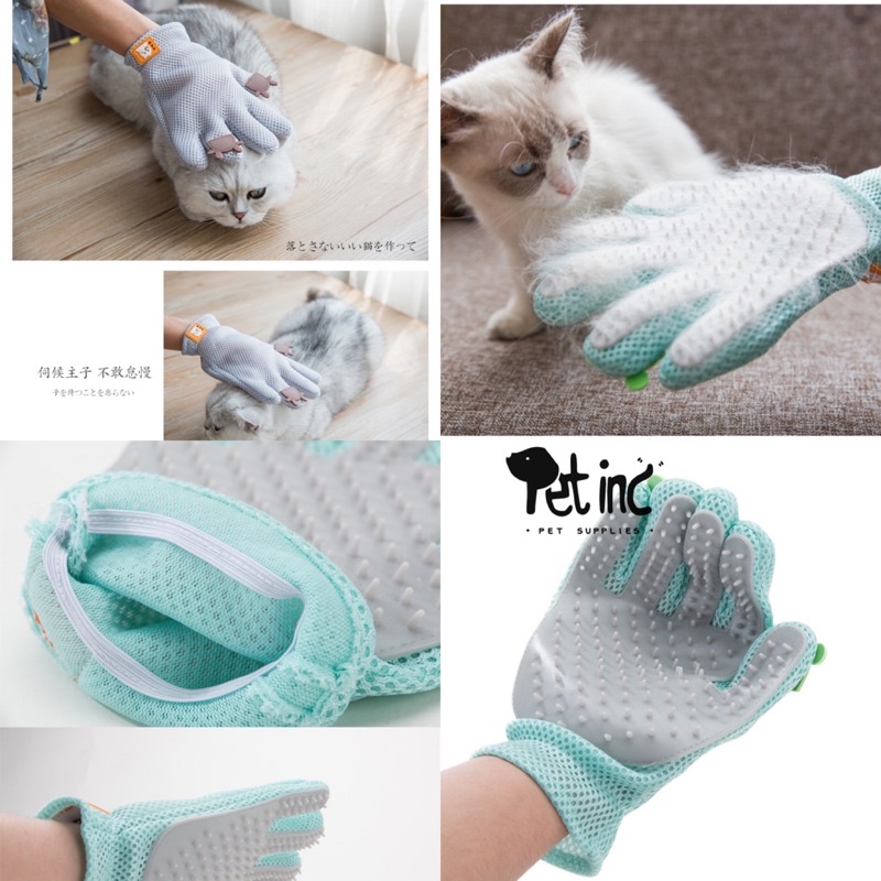 Po chan japan shedding gloves