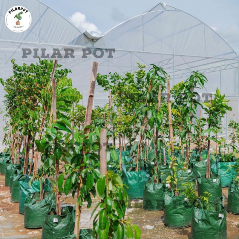 planter bag eco pack 15 liter 2 handle untuk pot tanaman - PLANTER BAG 15 LITER