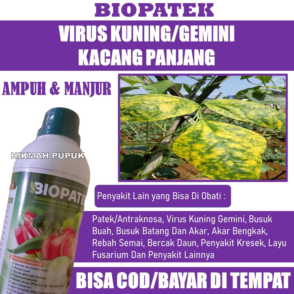 (LANGSUNG KIRIM) BIOPATEK Fungisida Hama Virus Kuning/Gemini Kacang Panjang, Pupuk Hama Virus Kuning