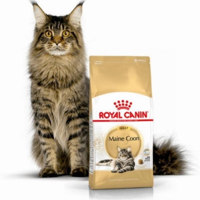 Royal Canin Mainecoon-4 Kg Rc56399