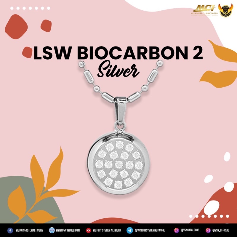 LSW Biocarbon 2 Silver