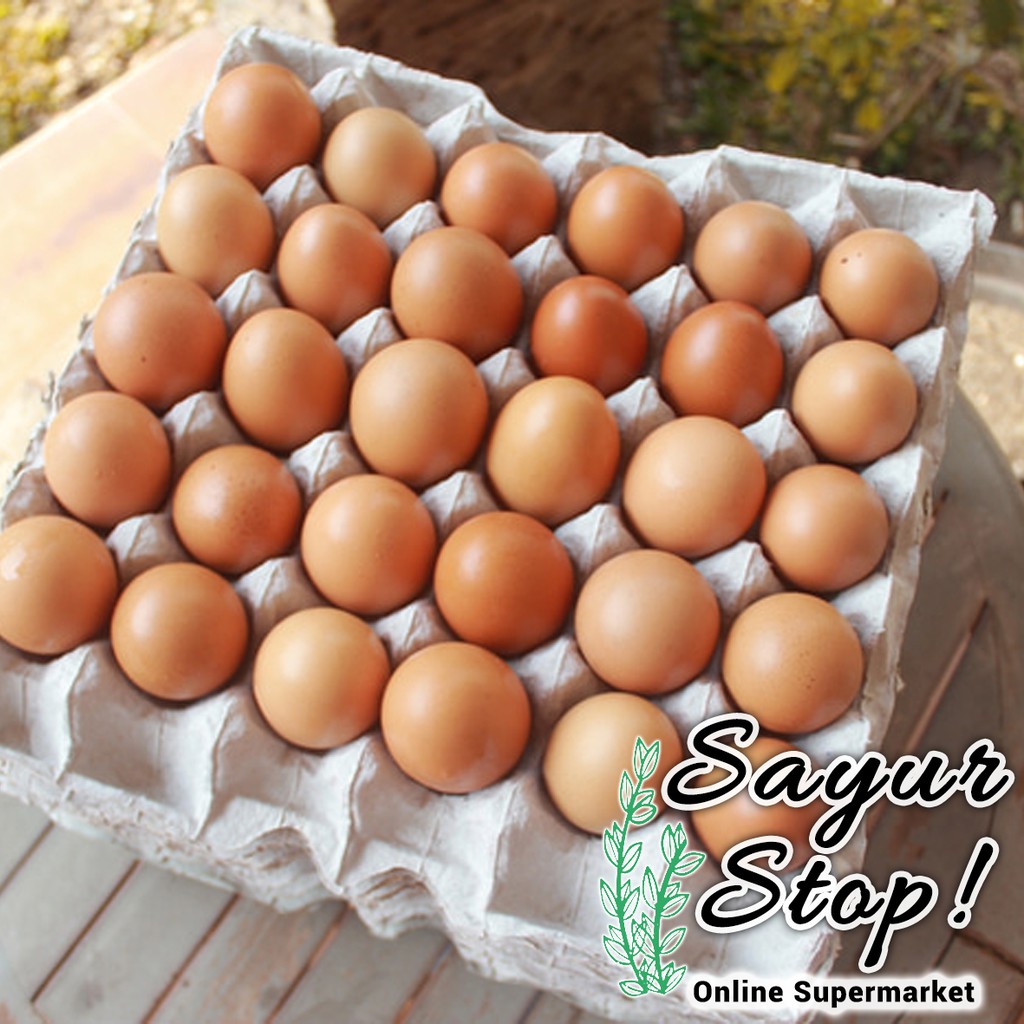 

Sayur Stop Telur 1 Papan