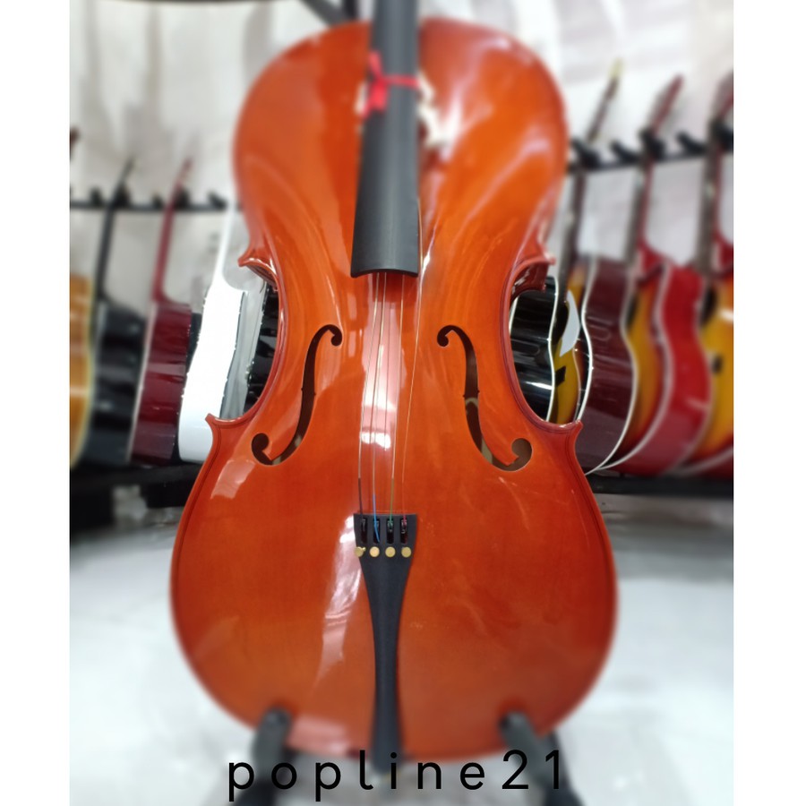 Cello Cervini HC 100 / Cervini HC-100 4/4