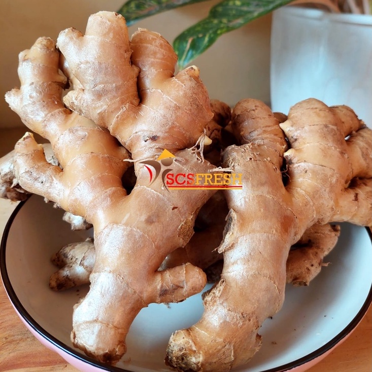 

Jahe Fresh 500 Gram