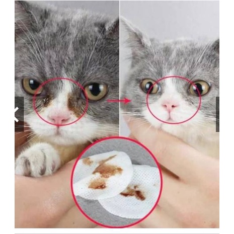 Volk Pets Pet Eye &amp; Ear Wipes Aloe Vera/ Tissue Pembersih Mata Telinga Anjing Kucing/ Tissue Basah Mata Telinga 150 Pcs