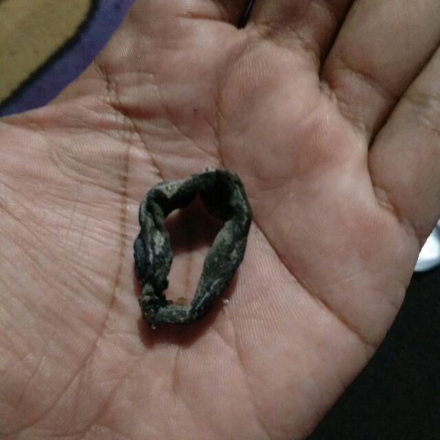 Ari Ari Kucing Hitam