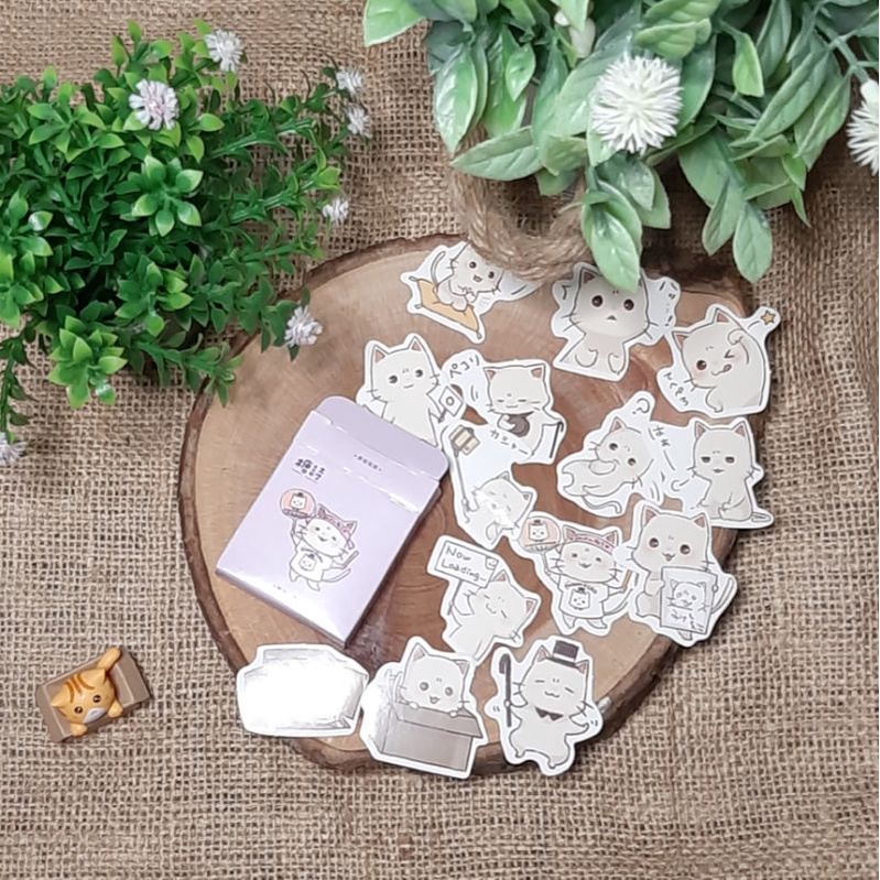 

Sticker Cute Cats / Hiasan Dekorasi / Scrapbook / Jurnal