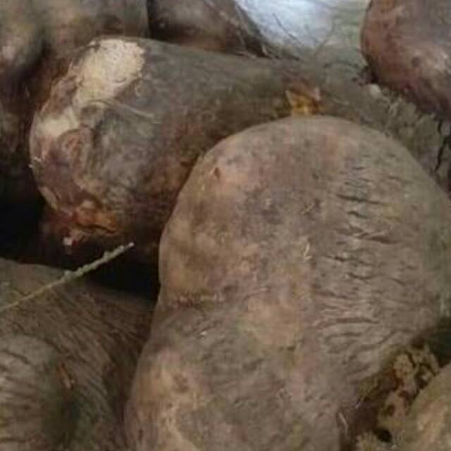 

Uwi Tuban Uwi Manis 1 kg