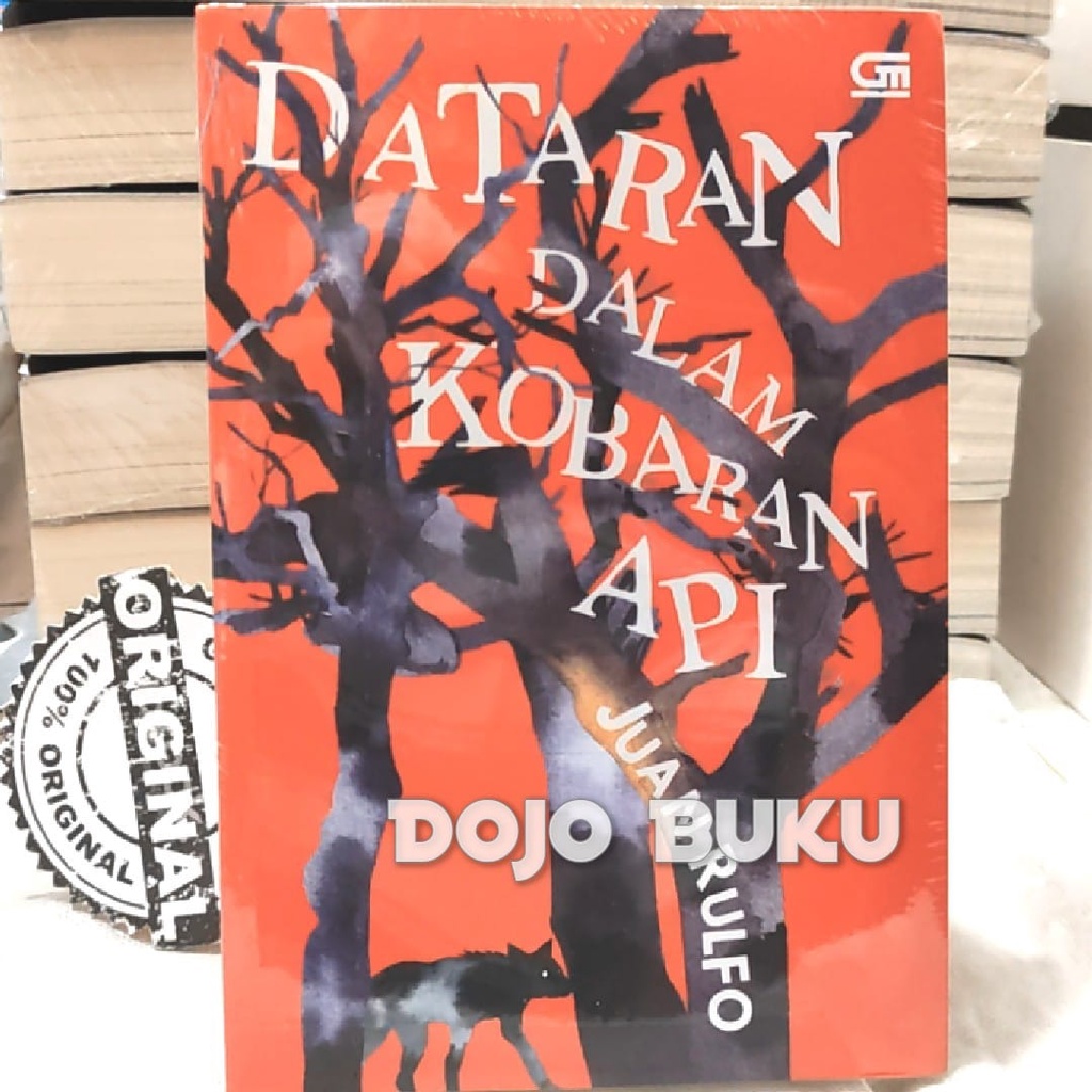 Buku Novel Dataran dalam Kobaran Api oleh Juan Rulfo