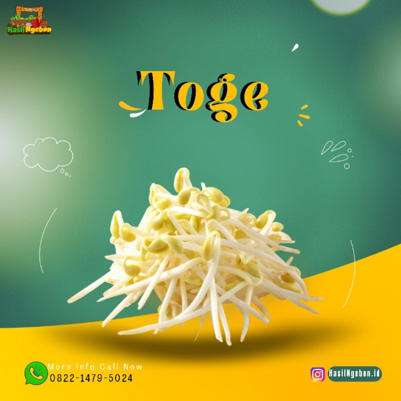 

TOGE 500GR