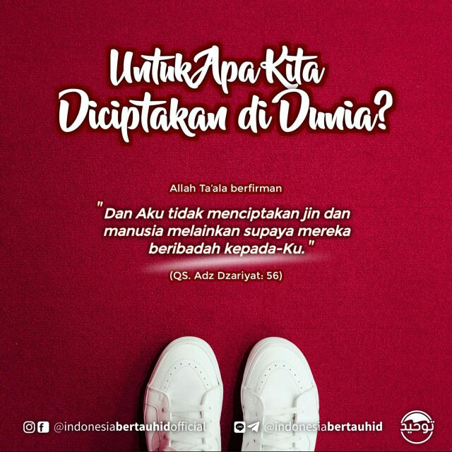 Kastok Capstok Kapstock Gantungan Baju Isi 6 Kait