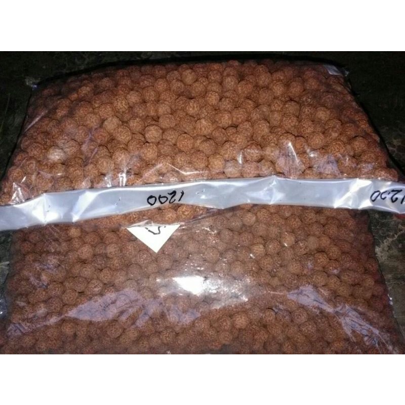 

biji jenitri asli kebumen