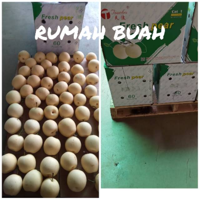 

Buah pir century/madu