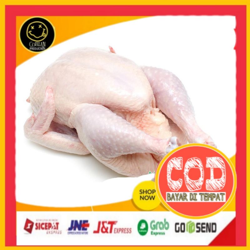 

Ayam Potong 500g Paha Ayam Dada Ayam Sayap Ayam Ceker Ayam Kepala Ayam Daging Segar Daging Fresh