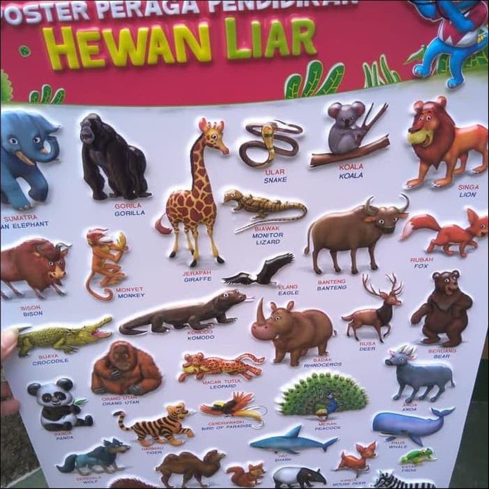 Poster Peraga Pendidikan Hewan Liar