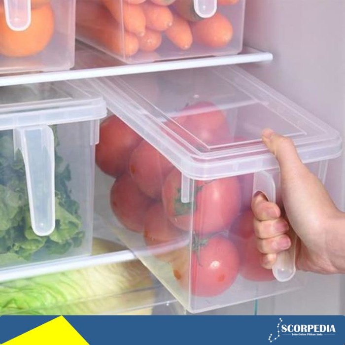 

Kotak Tempat Penyimpanan Bahan Makanan di Kulkas Container Box - BARU
