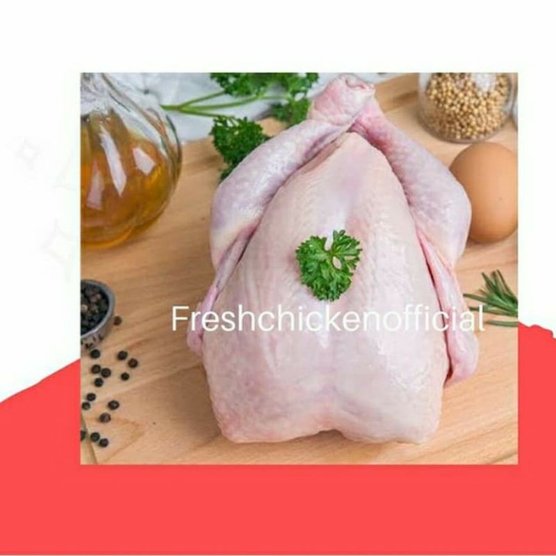 

Ayam broiler 600-700gr