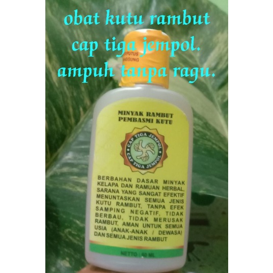 minyak kutu rambut cap tiga jempol 60 ml