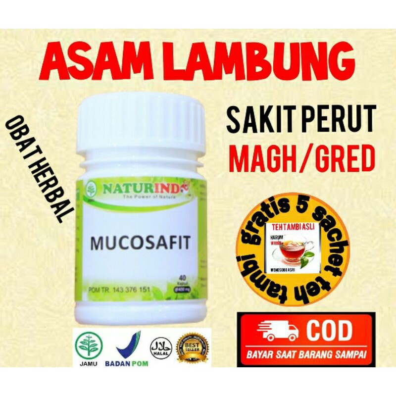 Obat Asam Lambung,Radang Lambung,Gerd, Tukak Lambung,Kanker Lambung,Obat Maag herbal NATURINDO