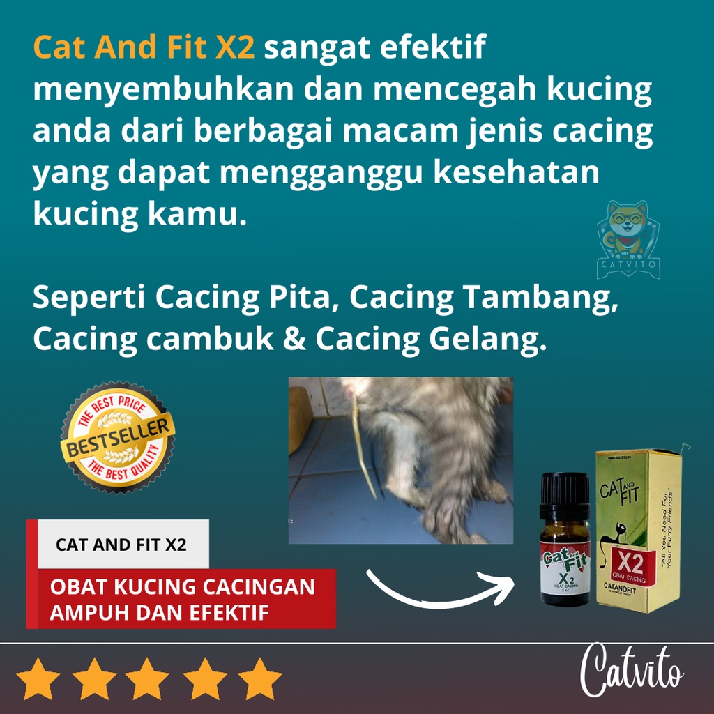 OBAT KUCING CACINGAN / OBAT CACING KUCING CAT AND FIT X2