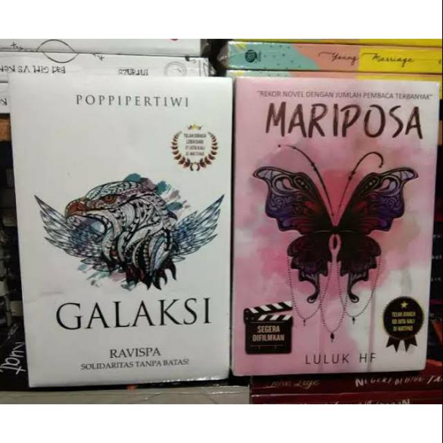 NOVEL MARIPOSA