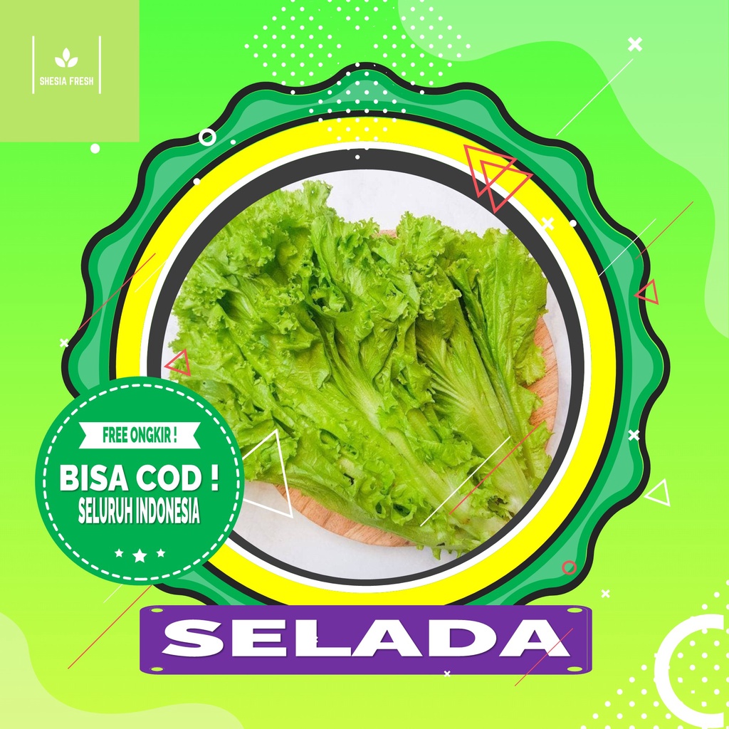 

Shesia Fresh - Selada Organik 250 gram