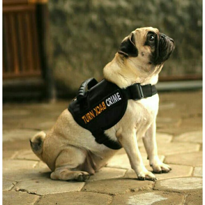 HARNESS ANJING DOG HARNESS ANJING K9 STYLE ALA POLICE DOG