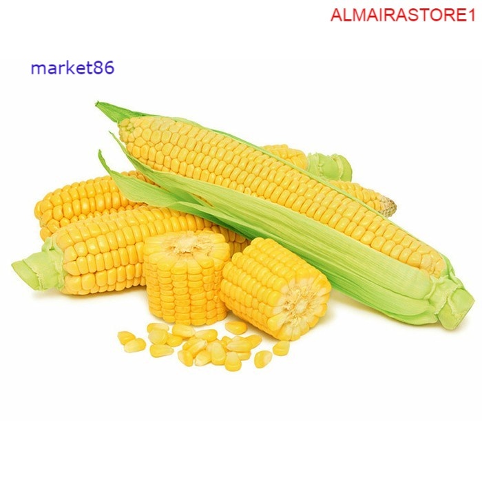 

Grosir Sayuran Segar Sayur FRESH Jagung Manis per Buah - Market86