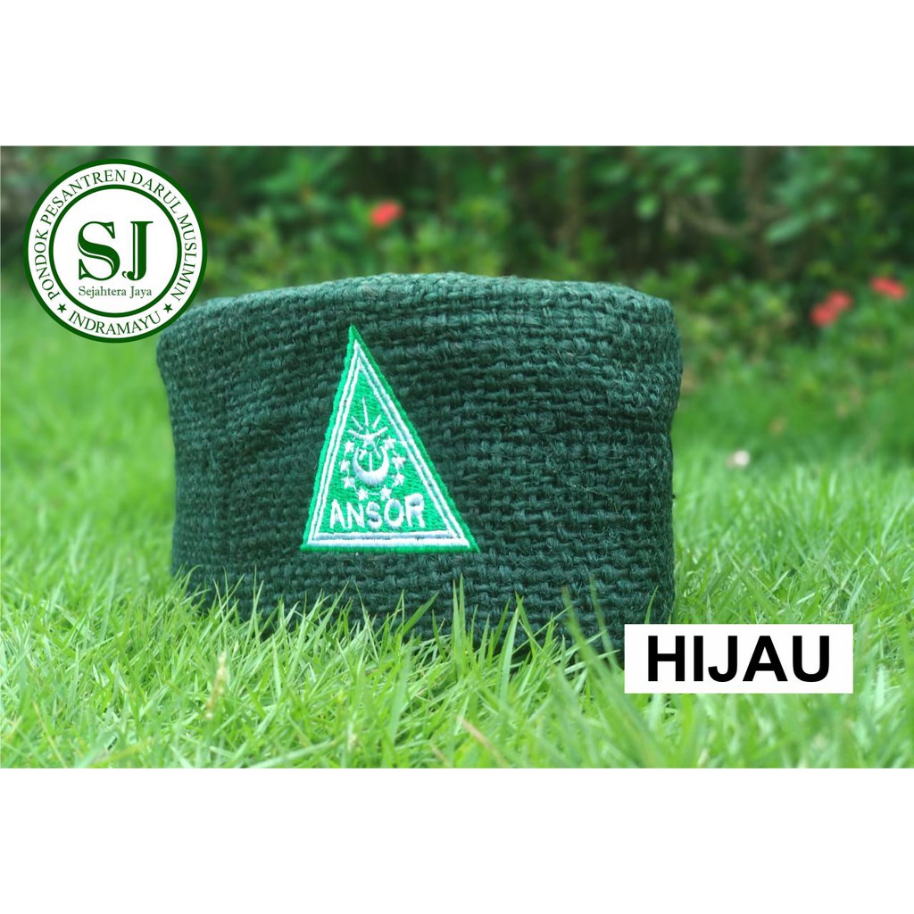 PECI ANSOR/PECI GONI/PECI GONI WARNA