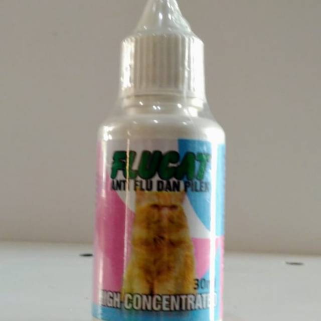 Flu cat obat flu dan pilek kucing