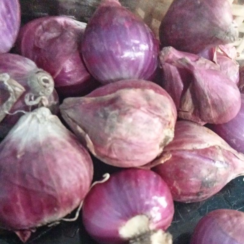 

RB Bawang Merah Brebes Pilihan Besar 1kg Segar